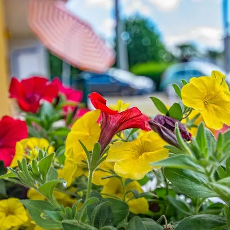 Happy Time Apartment *