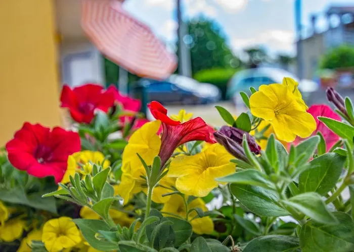 Happy Time アパート *